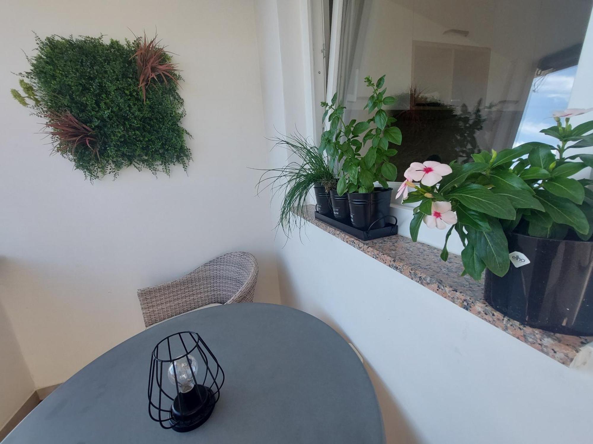 Petra Rooms And Apartments Palit Bilik gambar